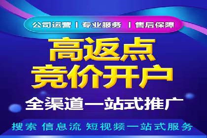 竞价账户优化与维护，代运营公司的专业能力展示