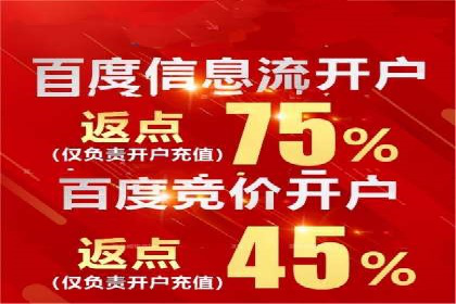 SEM代理案例：揭秘成功背后的秘密